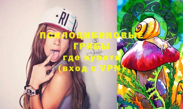 дмт Балахна