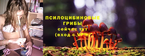 дмт Балахна