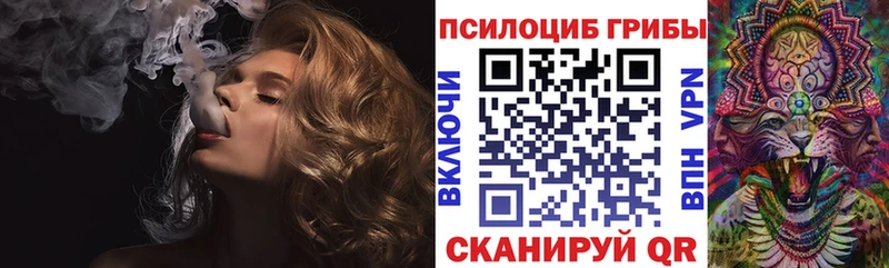 купить закладку  Опочка  Галлюциногенные грибы Magic Shrooms 
